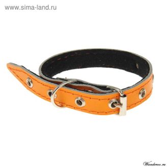 PerseiLine Ошейник №15 - кожа на синтепоне, 32 см