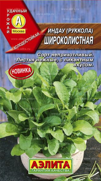 Индау  (Руккола )Широколистная   Аэлита