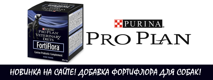 Вандеру Интернет Магазин Калининград