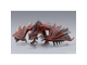 Фигурка S.H.MonsterArts Monster Hunter Rathalos