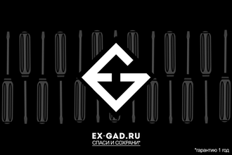 Гарантия 1 год от ExGad, если покупали аппарат не в  ExGad