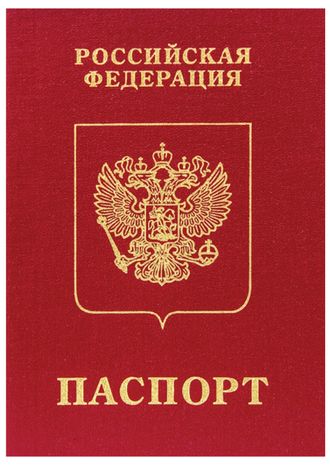 Паспорт -1 - РАЗМЕР А4 (загран) Паспорт -1 - РАЗМЕР А4 (загран)