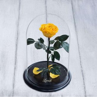 Стабилизированная роза в колбе Lerosh - Premium 33 см, Желтая