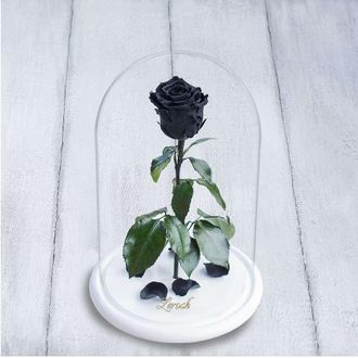Стабилизированная роза в колбе Lerosh - Standart 33 см, Черная на белой подставке