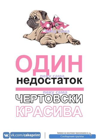 Один недостаток