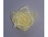 Роза средняя бледно-жёлтая, 7,5*9 см.