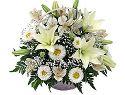 Корзина с Лилиями и Гербер Белый Вальс