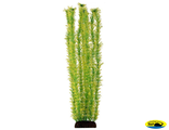 Ар1245 5573Р Растение пласт 55см желто-зеленое Амбулия