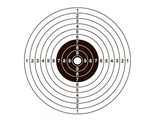 Мишень для стрельбы пистолетная №4 50х50 см (бумага 1 шт.)
