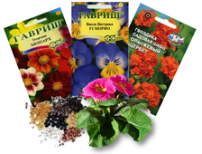 Цветочные культуры