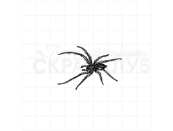 Штамп для скрапбукинга паук с длинными мохнатыми лапами