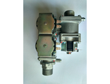 Газовый клапан 110V  CPV-H1130A1-LT