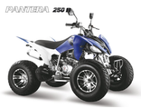 Спортивный квадроцикл Pantera 250 B