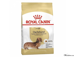 Royal Canin Dachshund Adult Роял Канин Дачсхунд Эдалт корм для взрослых собак породы такса, 7,5 кг