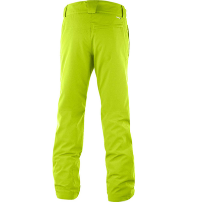 Горнолыжные брюки мужские Salomon Strik Pant