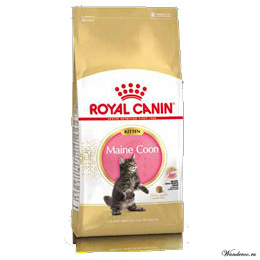 Royal Canin  Kitten Maine Coon Роял Канин Киттен Мейн Кун Корм для котят породы мейн кун 0,4 кг