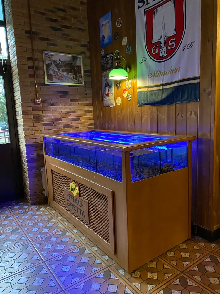 Аквариум с живыми раками.