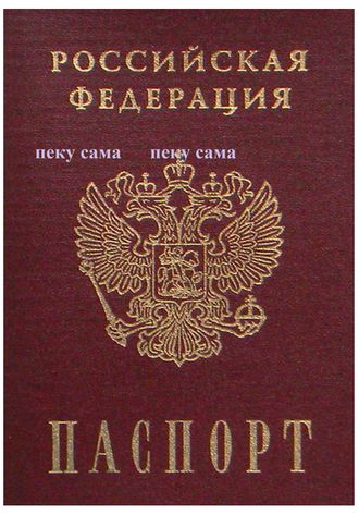 Паспорт А4 -8