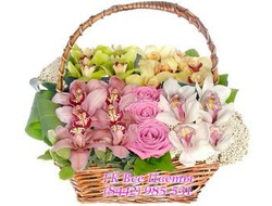 Корзина Орхидей Шикарно