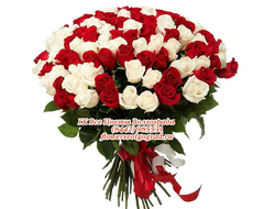 51 роза букет из 51 розы