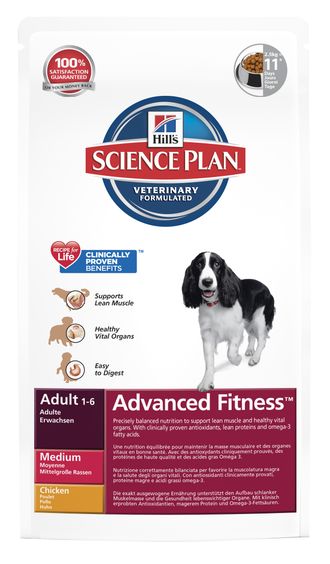 Best day planners for adults with add