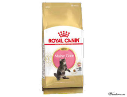 Royal Canin  Kitten Maine Coon Роял Канин Киттен Мейн Кун Корм для котят породы мейн кун 2 кг