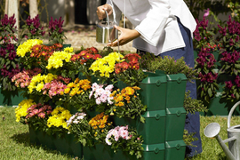 Конструкции и вазоны для вертикального озеленения