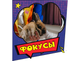ФОКУСЫ - Шоу детского волшебника, программы с фокусами