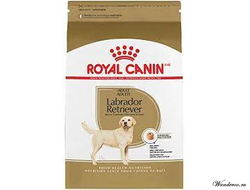 Royal Canin Labrador Retriever Adult Роял Канин Лабрадор Ретривер Эдалт корм для взрослых собак, 3 кг