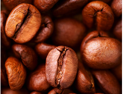 Кофе (Coffea canephora) 2 г - СО2 экстракт