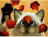 Кот и осенние листья (алмазная мозаика) mgm-mk avmn