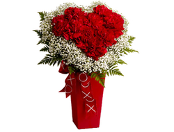 Сердце из Гвоздики (25 красных Гвоздик)