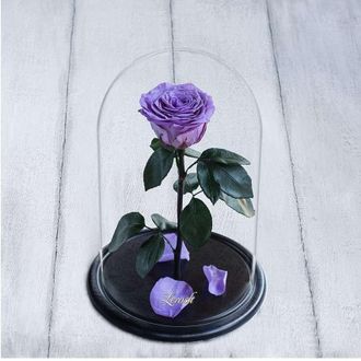 Стабилизированная роза в колбе Lerosh - Premium 33 см, Лиловая