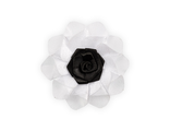 40 Цветок белый - чёрный, 7*7 см.