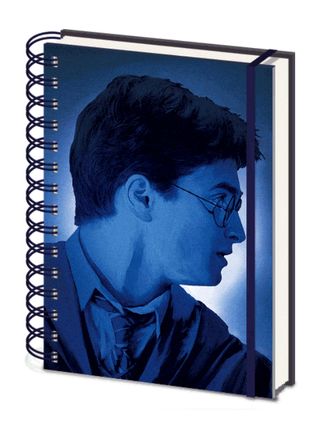 Ежедневник Pyramid: Harry Potter (Magic Portrait) 3D Cover A5 Wiro Notebooks 3D
