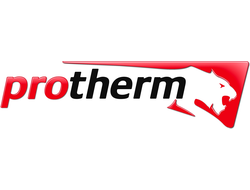 Запчасти для котлов Protherm