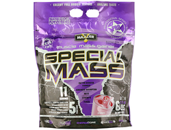 (Maxler) Special Mass Gainer - (2,7 кг) - (шоколад)
