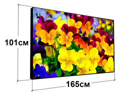 Полноцветные экраны VIDEO 165 см х 101 см