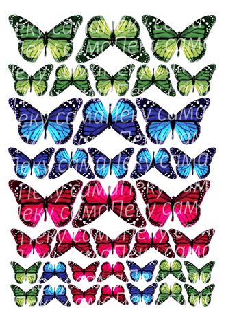 Бабочки - 7