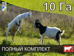 Электропастух СТАТИК-3М для коз на 10 Га - Удержит даже самого наглого козла!