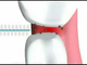 Межзубные ершики Dental Brush S, 0,5 мм, красные, Plackers, 24 шт.