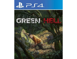Green Hell (цифр версия PS4 напрокат) RUS