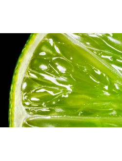 Lime terpenes (Natural) / Лайм терпены