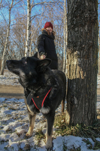 Джульетта