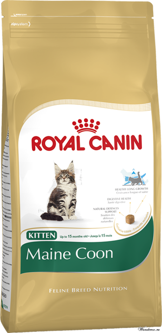Royal Canin  Kitten Maine Coon Роял Канин Киттен Мейн Кун Корм для котят породы мейн кун 0,4 кг