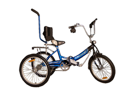 Велосипед для детей с ДЦП ВелоЛидер