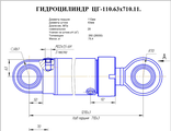 Гидроцилиндр опор ЦГ-110.63х710.11