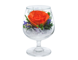 Композиция из оранжевых роз в подарочной упаковке, GSRo / Цветы в стекле / Розы в стекле / Подарок к 8 марта