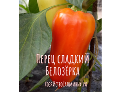 семена перец сладкий "Белозёрка" 10 шт.