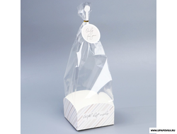 Пакет с коробкой «С наилучшими пожеланиями», 12 × 12 × 40 см